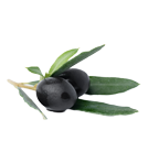 Olives Noires - Huilerie ANNOR