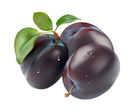 Pruneaux Secs - ANNOR