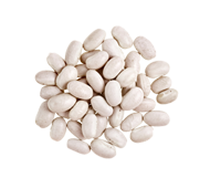 Haricot Blanc